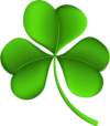 shamrock